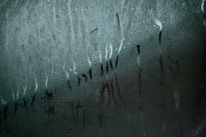 水分摂取がジャンクダイエットにおいて重要な理由とは？