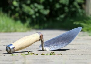ジャンクOKダイエットの1ヶ月プランで効果的に痩せる方法は？