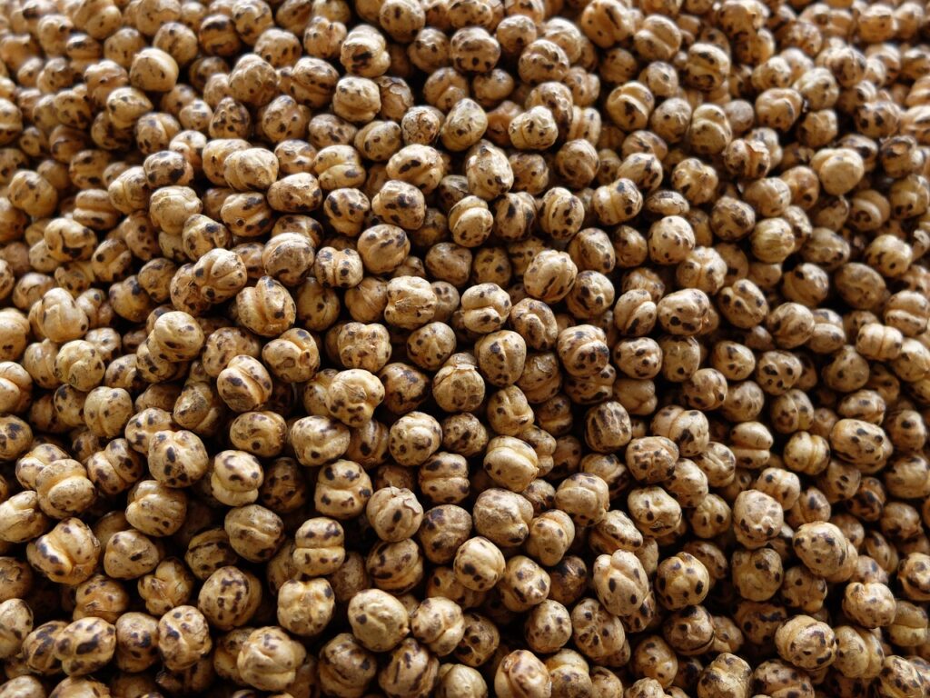 ジャンクフードダイエットの食べ方はどうするべき？
